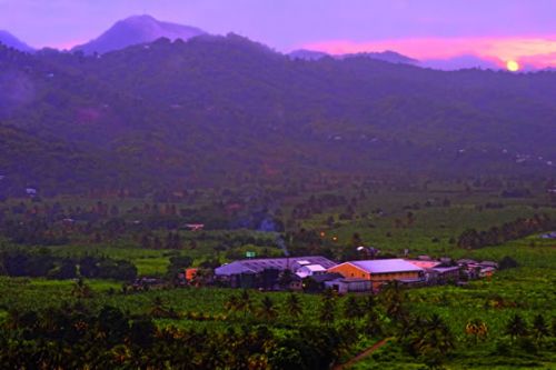 distiller valley