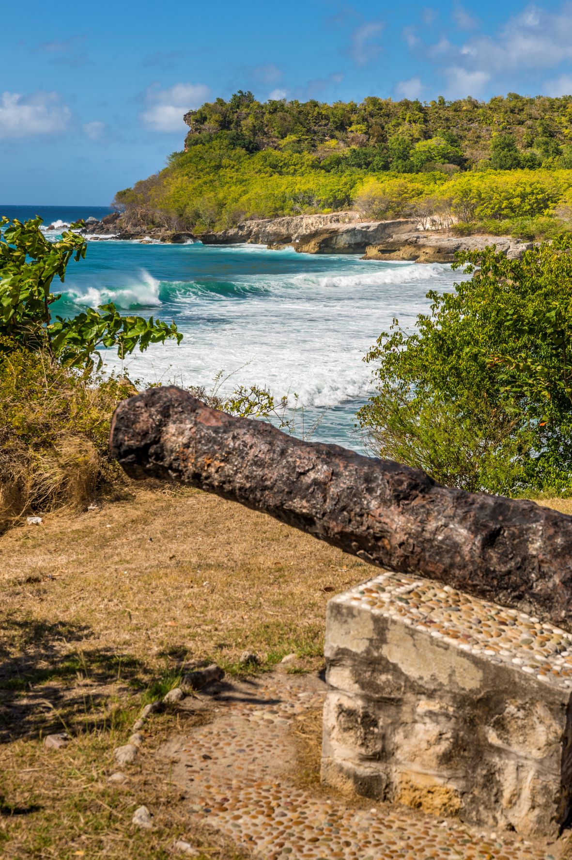 beausejour desirade guadeloupe 28500 aurelien brusini BD