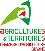 chambre agriculture guyane