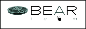 bearteam logo