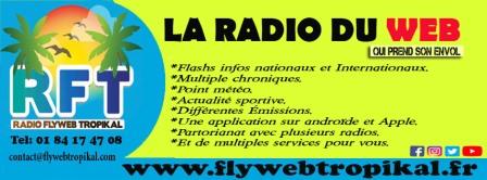 radioflywebtropikal