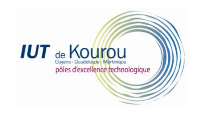 Innovation de l’IUT de Guyane Lancement d’un Bachelor Universitaire de Technologie (B.U.T)